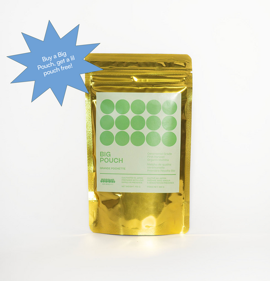BIG POUCH
